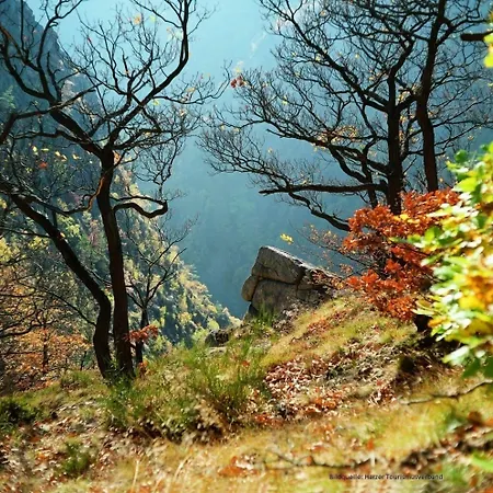 Hotel K6 Seminarhotel 3*